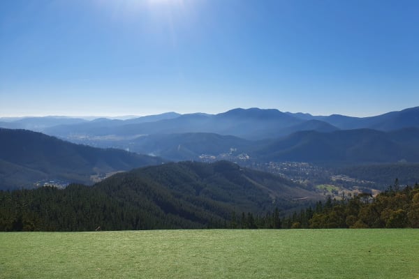 Photo by Lesley-ann k.