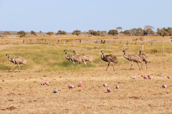 Photo by Off The Trax