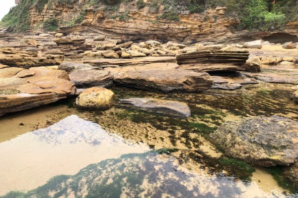 Photo by Caroline M.