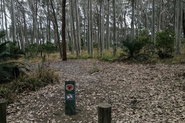 Photo by Ahmad Musa Ababneh