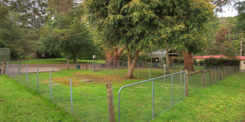 Photo by [deleted user]