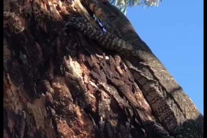 Photo by Kristine B.