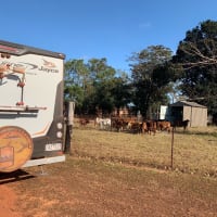 Photo by Corporate to Caravan