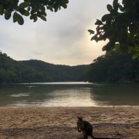 Photo by _haere.ki.waho_