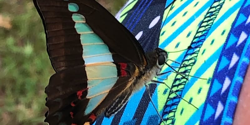 Photo by Amy Lee Harris