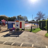 Photo by Michelle P.