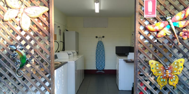 Photo by Michelle C.