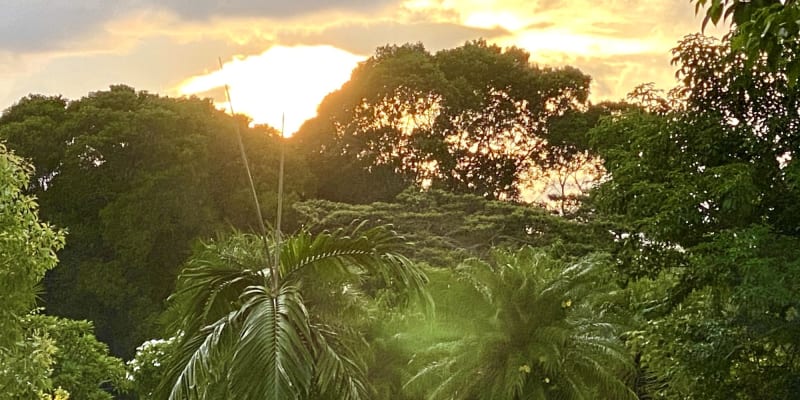 Photo by Sharlene K.