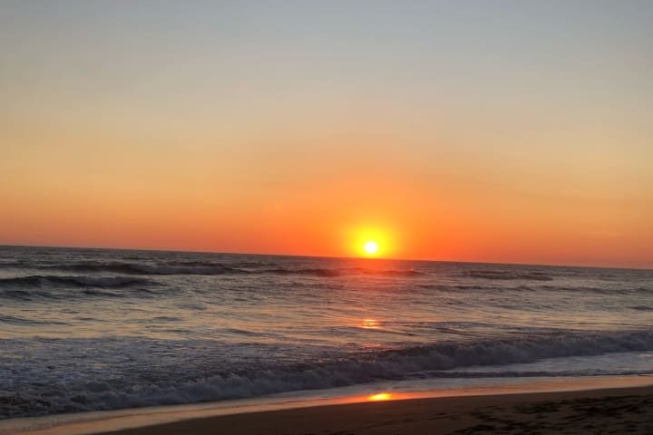 Photo by Brucethegoose