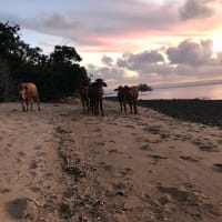 Photo by Samantha M.