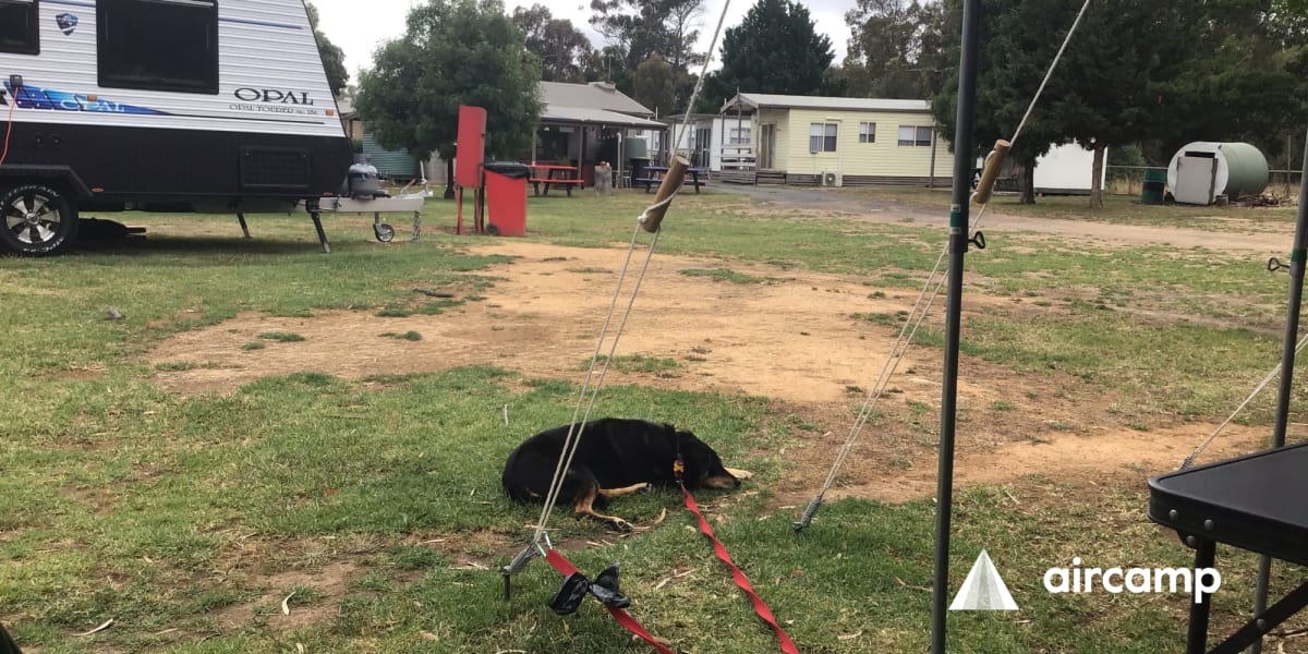 Avoca Caravan Park