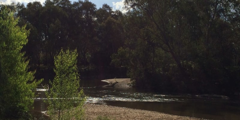 Photo by Christine J.