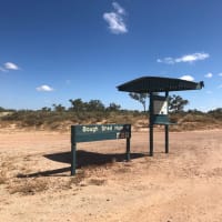 Photo by Elizabeth P.