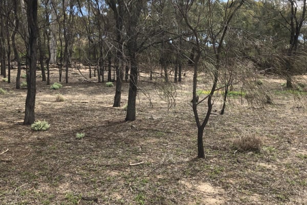 Photo by Christine W.