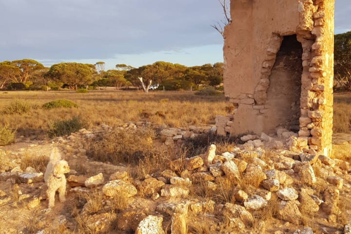 Photo by Donna Alston Hobbs