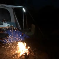 Photo by Laura Ann Romanov