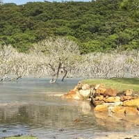 Photo by Krishantha E.