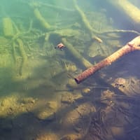 Photo by My Rig Adventures