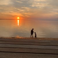 Photo by Phillippa P.