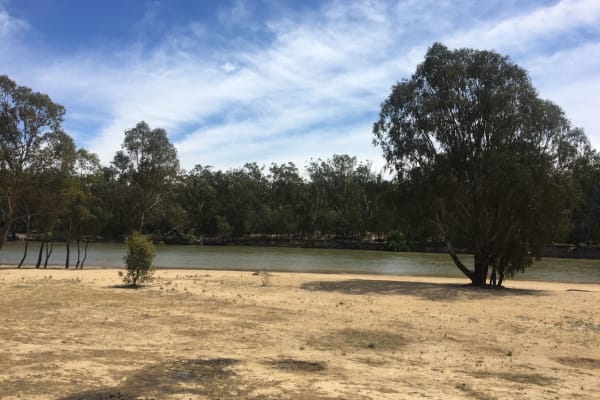 Photo by Lisa Brown White