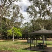 Photo by Marcia Christine Baker