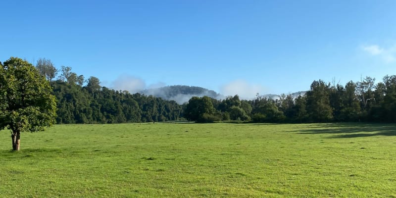 Photo by Louise Le Roux