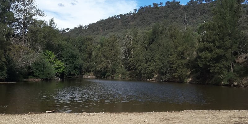 Photo by Matt Janet Hahn