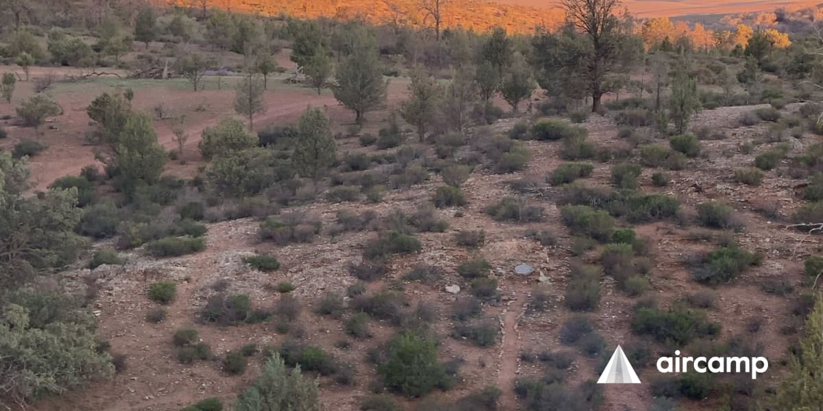 Bendleby Ranges - Anycamp