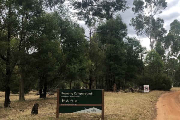 Photo by Gene Catalan Ashling