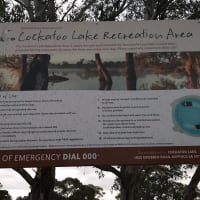 Photo by Michelle C.