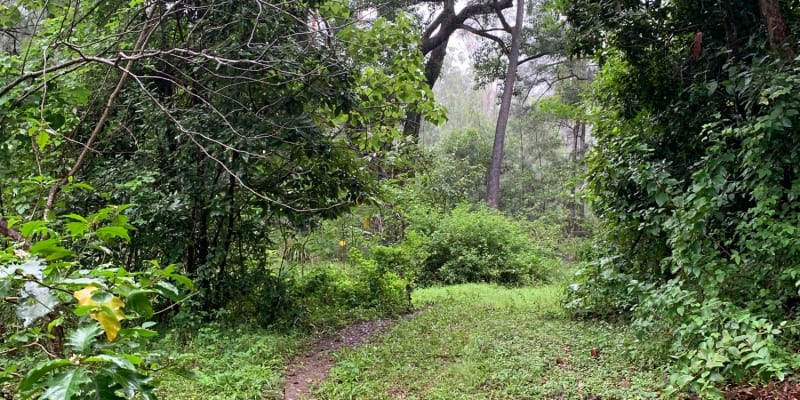 Photo by Off The Trax