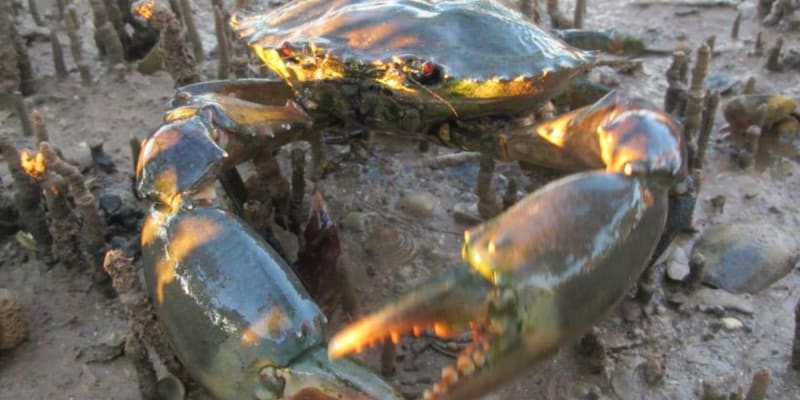 Photo by jennifer b.