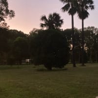 Photo by Lee-Anne F.