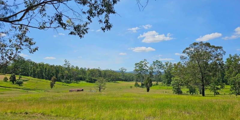 Photograph of Top 8 4WD accessible campsites near Richmond Range National Park, NSW