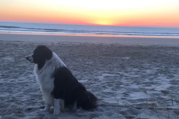 Photo by Laisiana T.