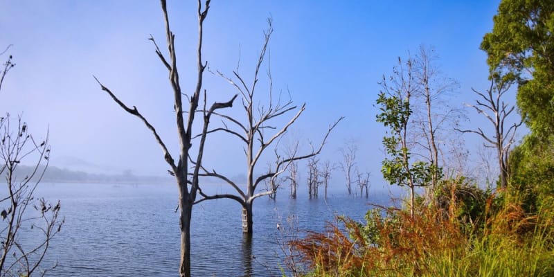 Photo of Boynedale Bush Camp