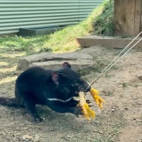 Photo by Corporate to Caravan