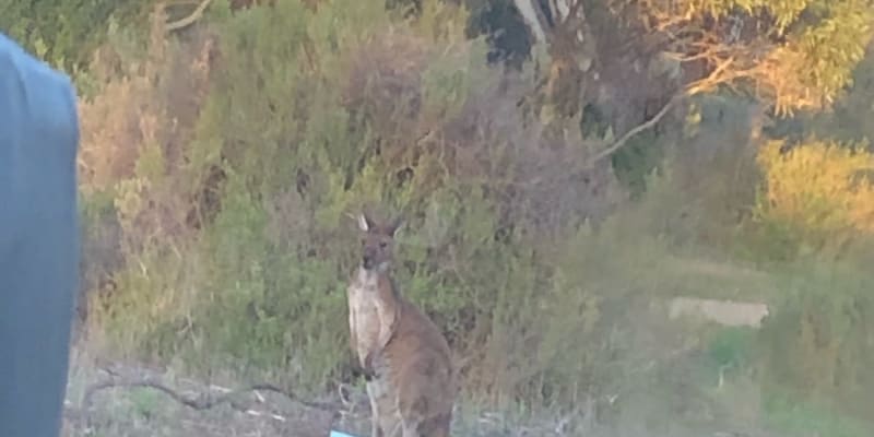 Photo by Angelique D.