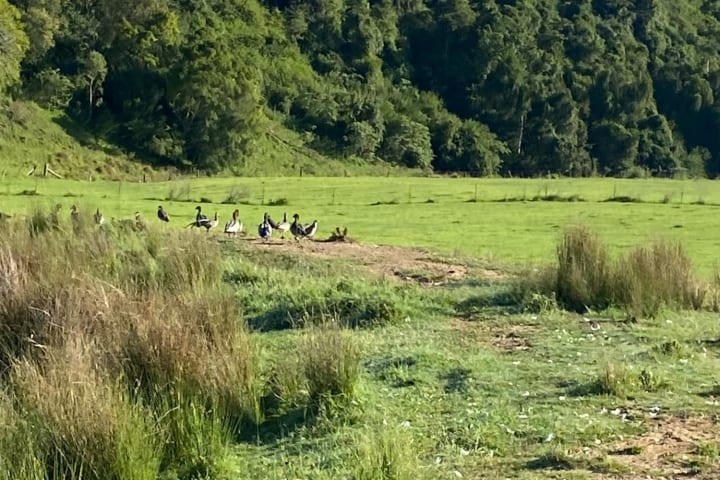 Photo by Louise Le Roux