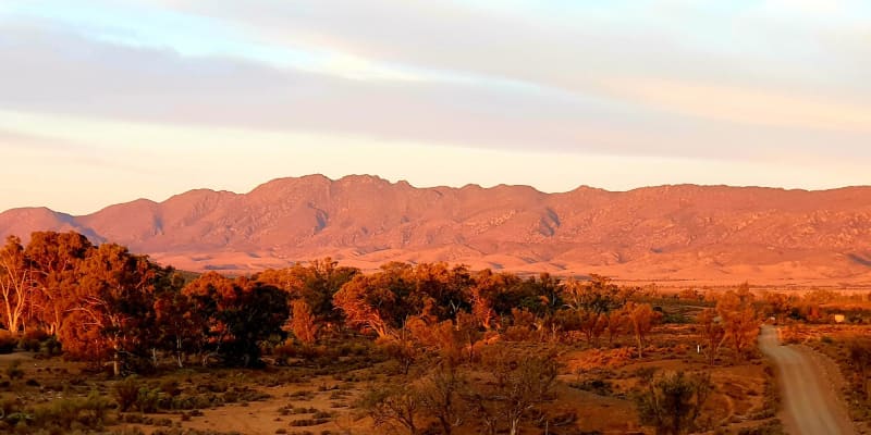 Photo of Mount Little Station