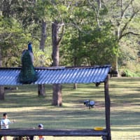 Photo by Krishantha E.