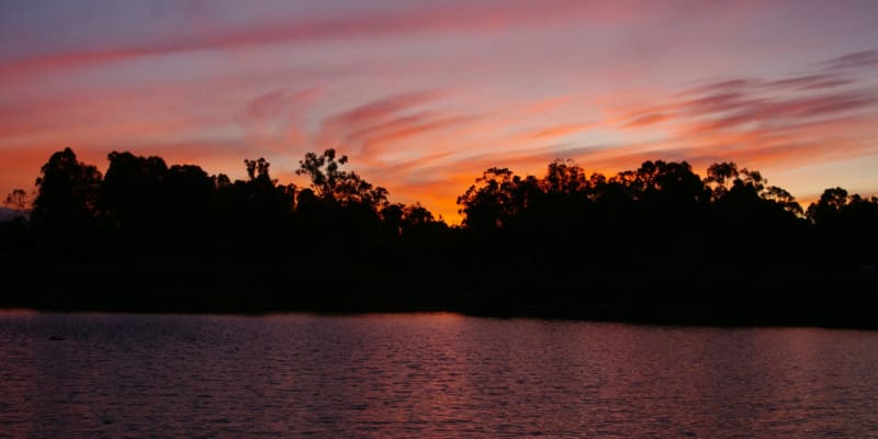 Photo of Stockton Lake