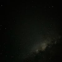 Photo by Chelsea and Jye