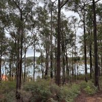 Photo by Jung Sun Lee