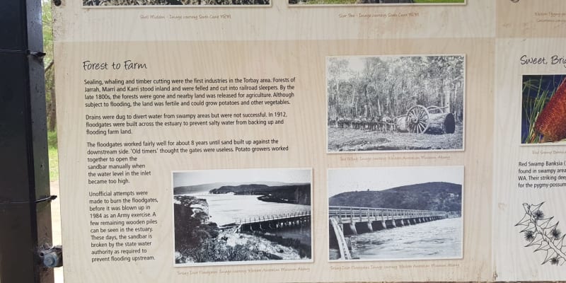 Photo by Carolyne H.