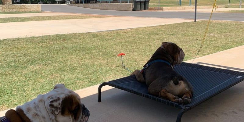 Photo by Valentina D.