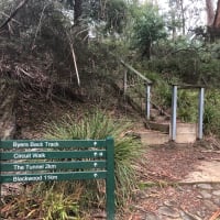 Photo by Peter pumpkin eater