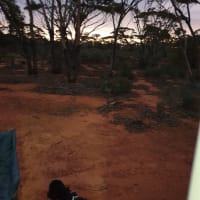 Photo by CATHERINE H.