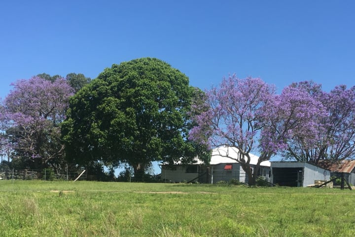 Photo by Belbrooke Pty Ltd as trustee for the Belbrooke Administration Trust