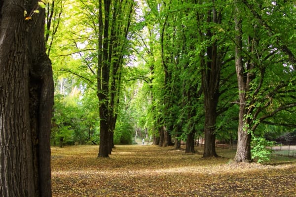 Photo by Jaspreet S.